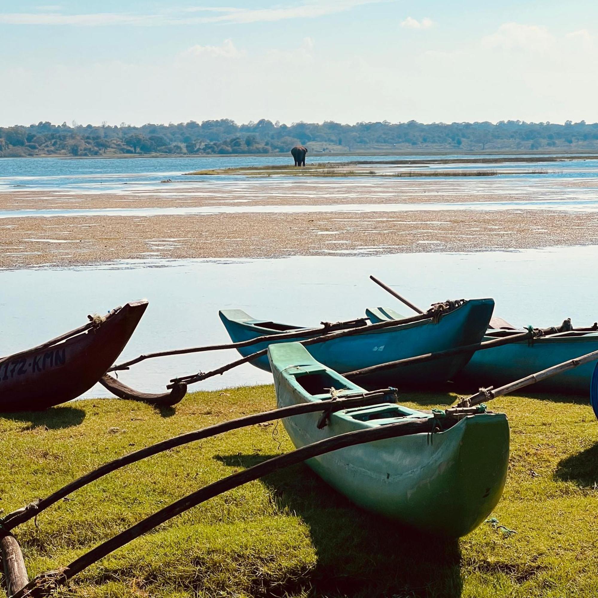 Little Lagoon Hostel Arugam Bay Bagian luar foto